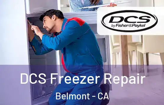  DCS Freezer Repair Belmont - CA