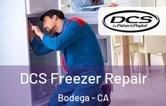  DCS Freezer Repair Bodega - CA
