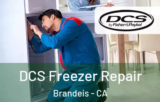  DCS Freezer Repair Brandeis - CA