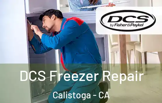  DCS Freezer Repair Calistoga - CA