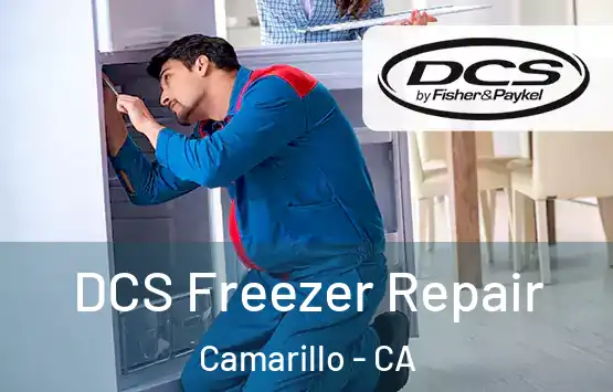  DCS Freezer Repair Camarillo - CA