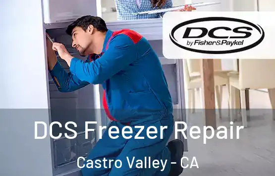  DCS Freezer Repair Castro Valley - CA