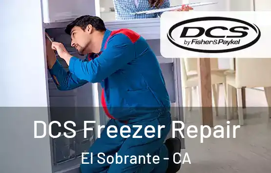  DCS Freezer Repair El Sobrante - CA