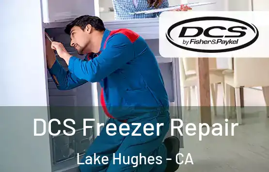  DCS Freezer Repair Lake Hughes - CA