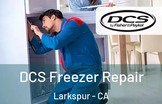  DCS Freezer Repair Larkspur - CA