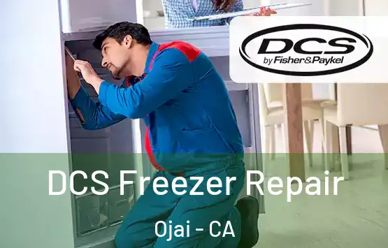  DCS Freezer Repair Ojai - CA