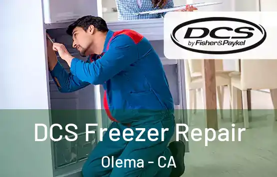  DCS Freezer Repair Olema - CA