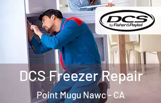  DCS Freezer Repair Point Mugu Nawc - CA