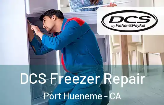  DCS Freezer Repair Port Hueneme - CA
