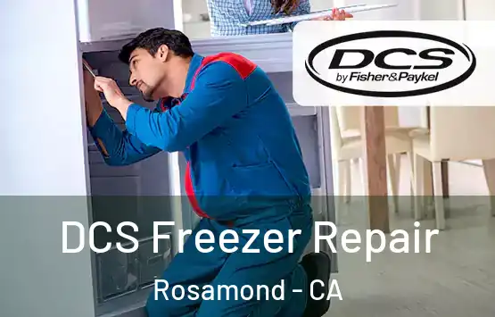  DCS Freezer Repair Rosamond - CA