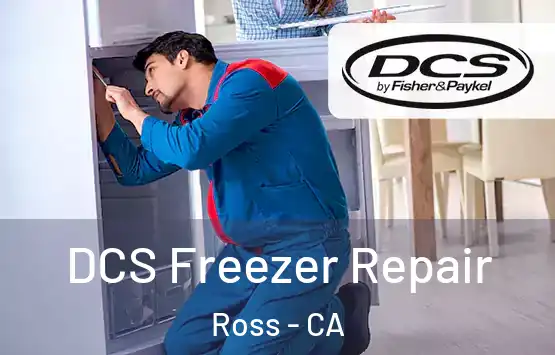  DCS Freezer Repair Ross - CA