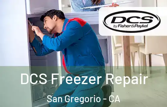  DCS Freezer Repair San Gregorio - CA