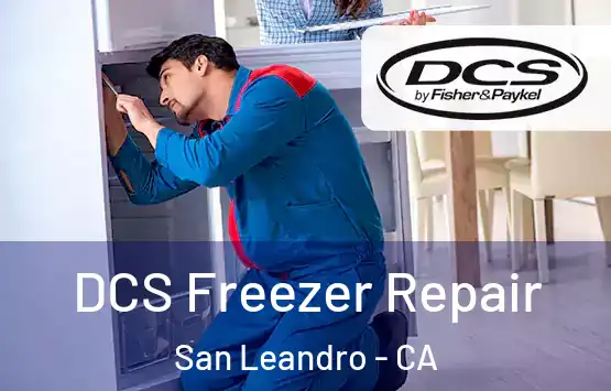  DCS Freezer Repair San Leandro - CA