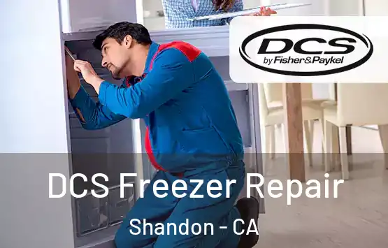  DCS Freezer Repair Shandon - CA