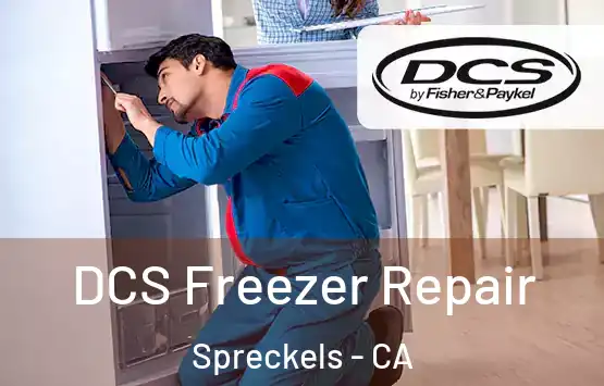  DCS Freezer Repair Spreckels - CA