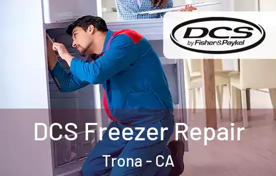  DCS Freezer Repair Trona - CA
