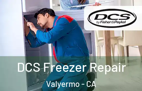 DCS Freezer Repair Valyermo - CA