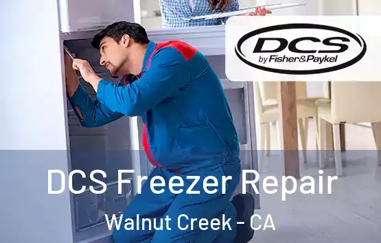  DCS Freezer Repair Walnut Creek - CA