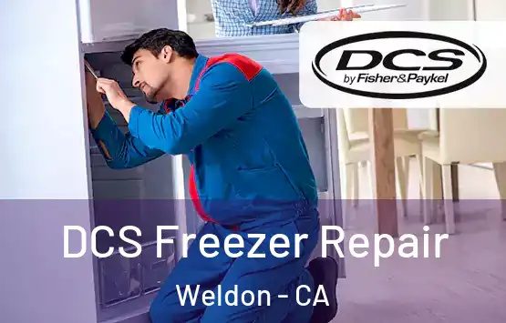  DCS Freezer Repair Weldon - CA