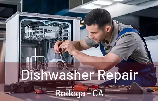  Dishwasher Repair Bodega - CA