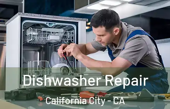  Dishwasher Repair California City - CA