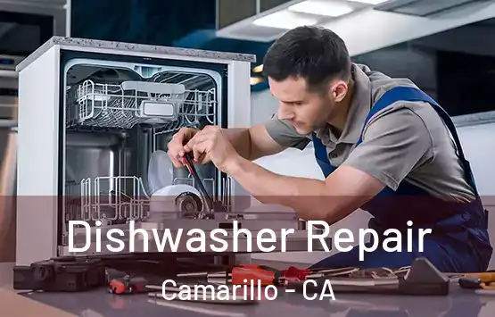  Dishwasher Repair Camarillo - CA
