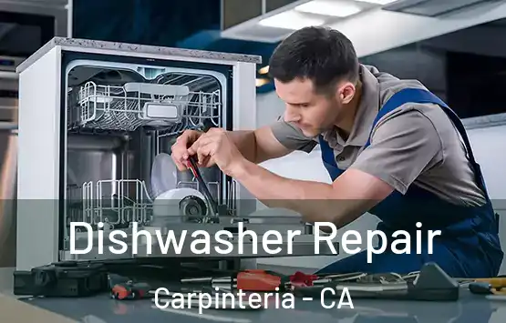  Dishwasher Repair Carpinteria - CA