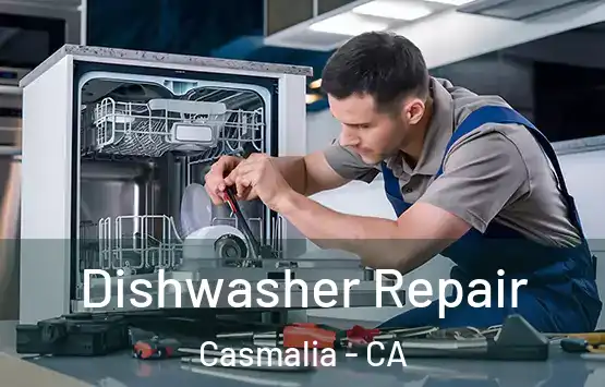  Dishwasher Repair Casmalia - CA