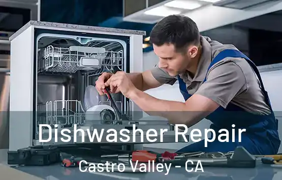  Dishwasher Repair Castro Valley - CA