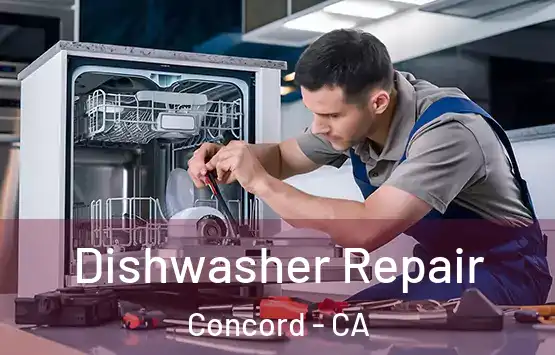  Dishwasher Repair Concord - CA