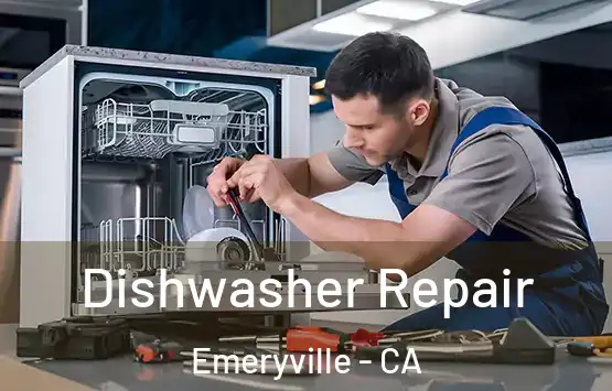  Dishwasher Repair Emeryville - CA