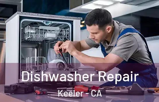  Dishwasher Repair Keeler - CA
