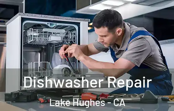  Dishwasher Repair Lake Hughes - CA