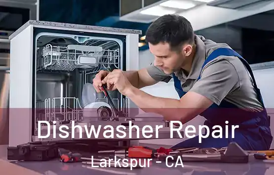  Dishwasher Repair Larkspur - CA