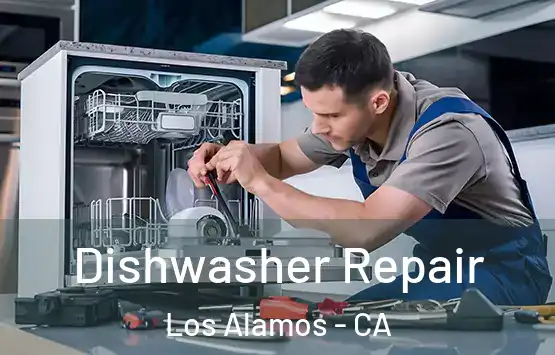  Dishwasher Repair Los Alamos - CA