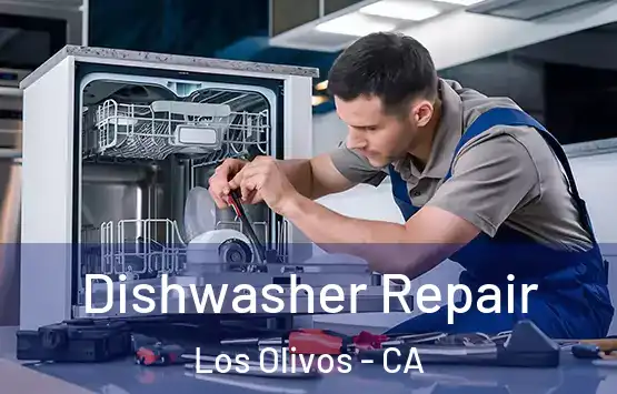  Dishwasher Repair Los Olivos - CA
