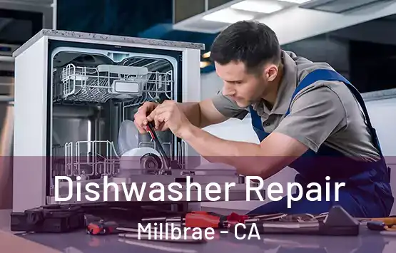  Dishwasher Repair Millbrae - CA