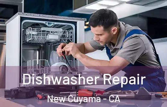  Dishwasher Repair New Cuyama - CA