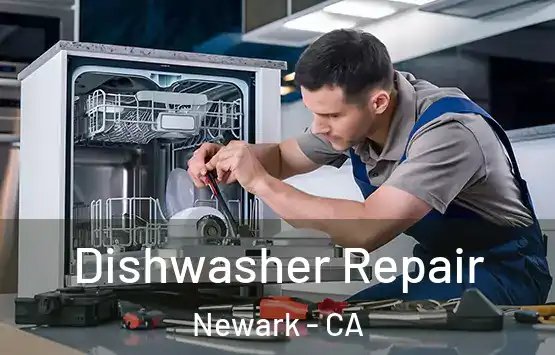  Dishwasher Repair Newark - CA