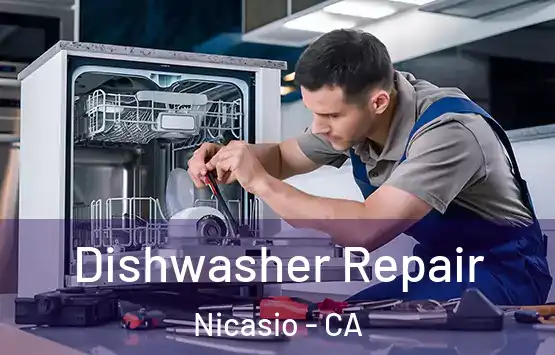  Dishwasher Repair Nicasio - CA