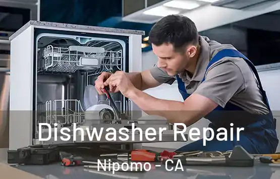  Dishwasher Repair Nipomo - CA