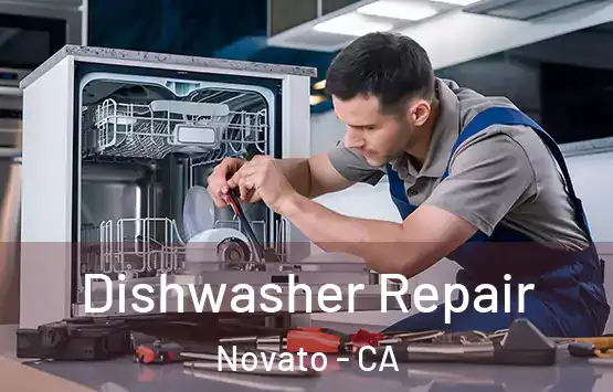  Dishwasher Repair Novato - CA