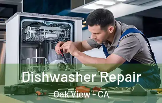  Dishwasher Repair Oak View - CA