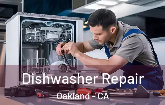  Dishwasher Repair Oakland - CA