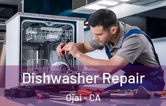  Dishwasher Repair Ojai - CA
