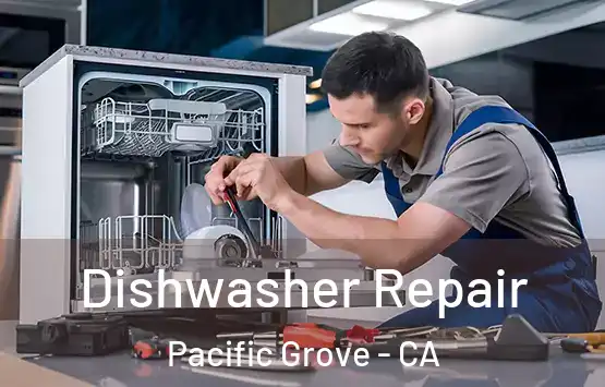  Dishwasher Repair Pacific Grove - CA