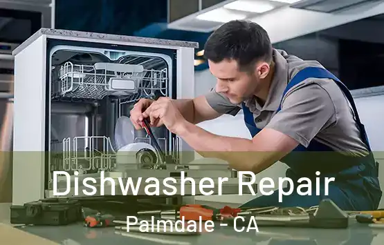  Dishwasher Repair Palmdale - CA