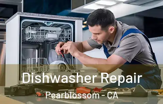  Dishwasher Repair Pearblossom - CA