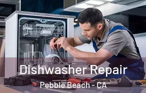  Dishwasher Repair Pebble Beach - CA