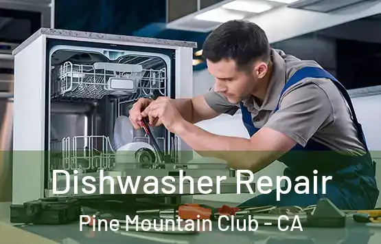  Dishwasher Repair Pine Mountain Club - CA